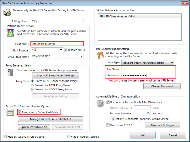 SoftEther-Client-Config-6